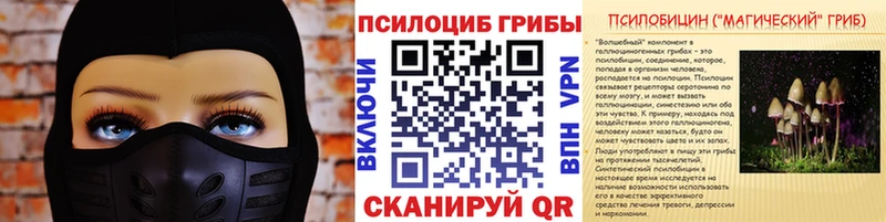 Галлюциногенные грибы Cubensis  Купить  Новая Усмань 